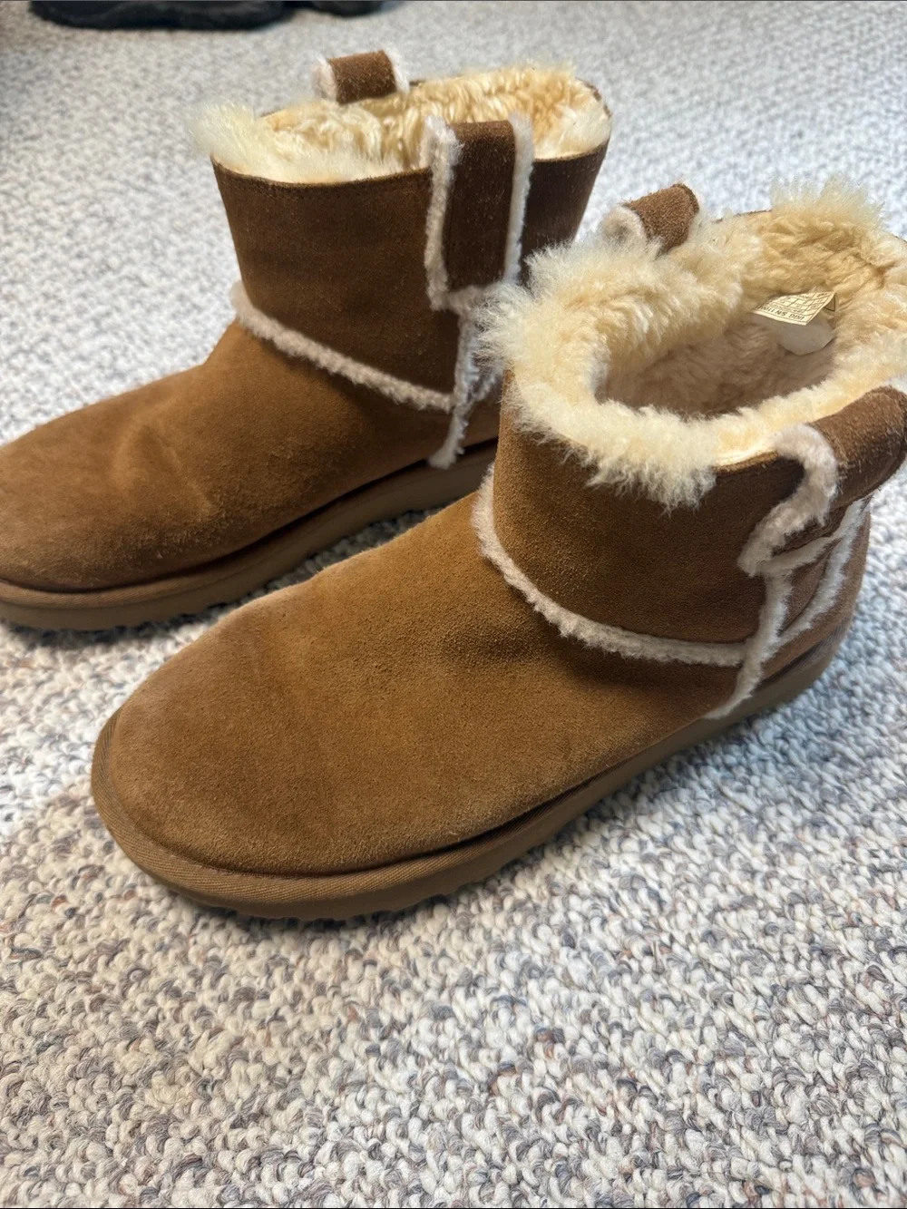 Ugg Cozy Suede Shearling Lined Ankle Boots - Chestnut